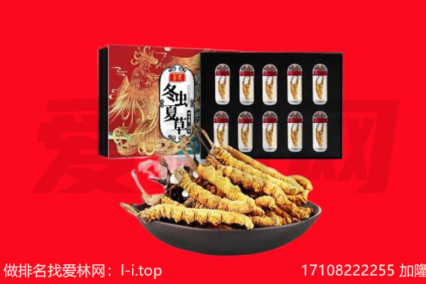 安阳市龙安回收虫草.jpg